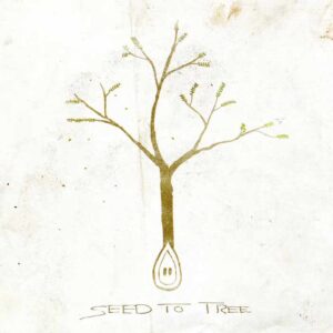 Seed to Tree - Seed to Tree