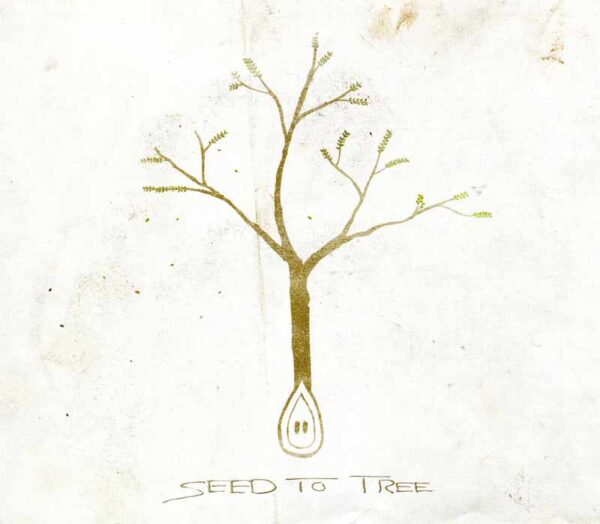 Seed to Tree - Seed to Tree