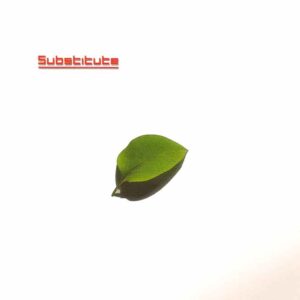 Substitute - Substitute