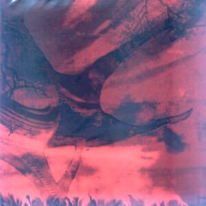 Dreaming in Red - Dreaming in Red