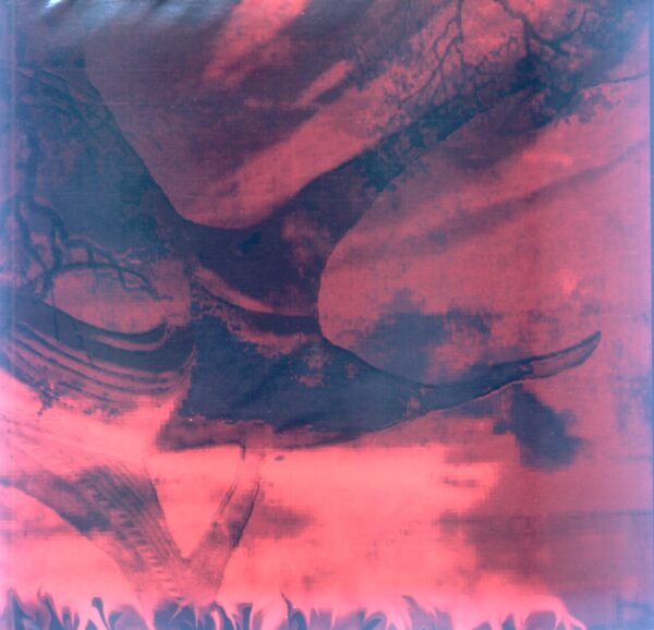 Dreaming in Red - Dreaming in Red